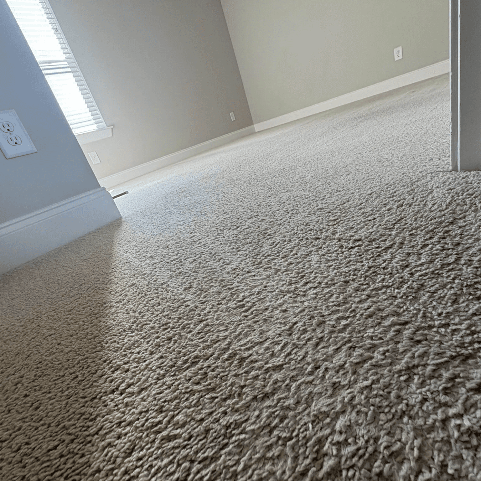 Carpet cleaning in Farmers Branch, TX