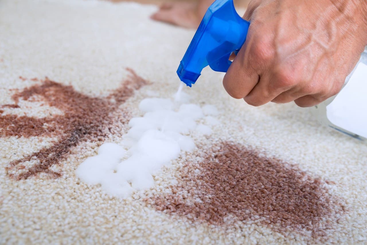 Refreshing Your Upholstery and Area Rugs in a Carrollton Home