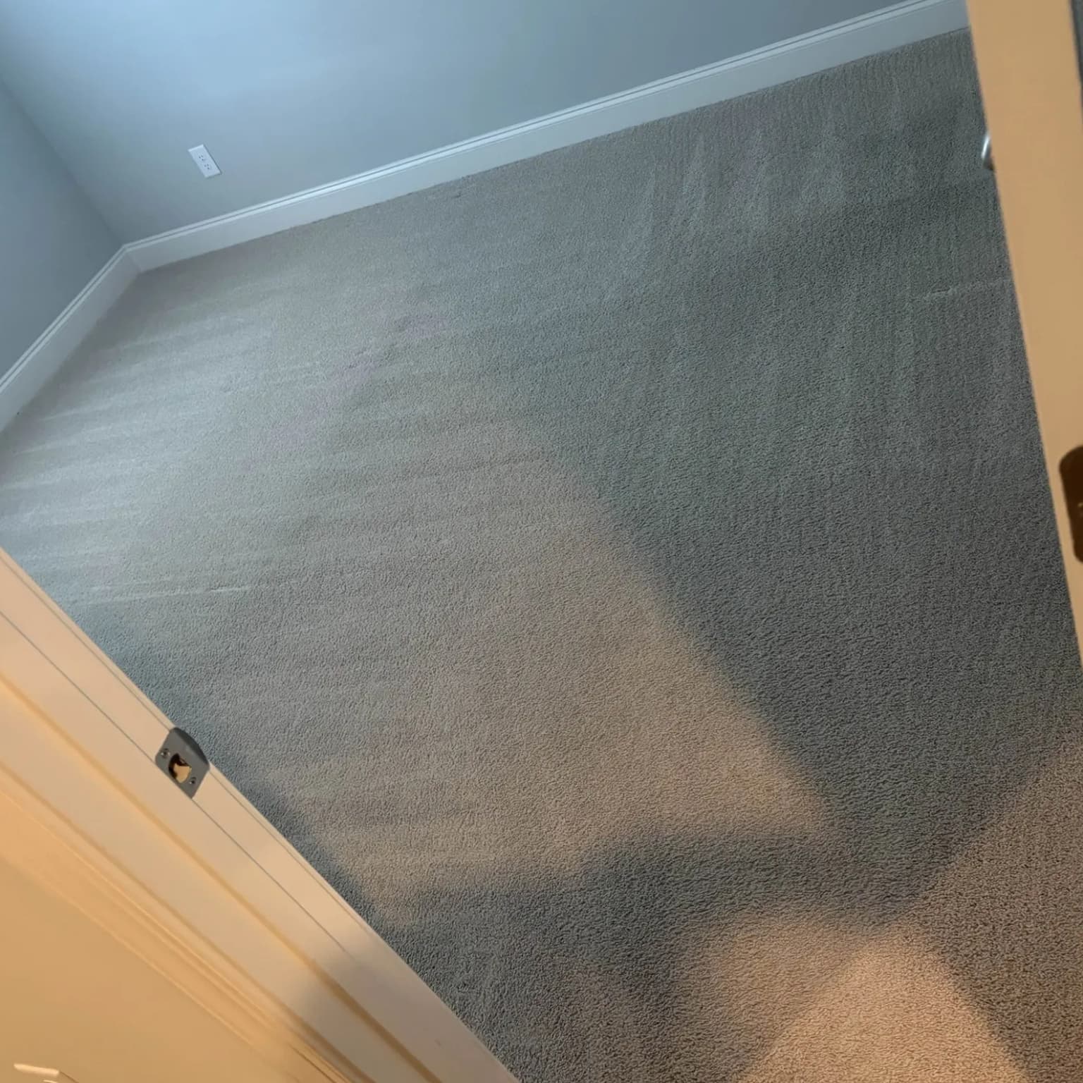 Carpet Cleaning